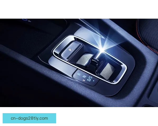 佩工怒批零比五惨败欲换全队人