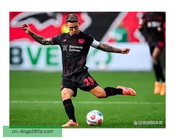 汉堡球星怒斥美因茨踢人风格